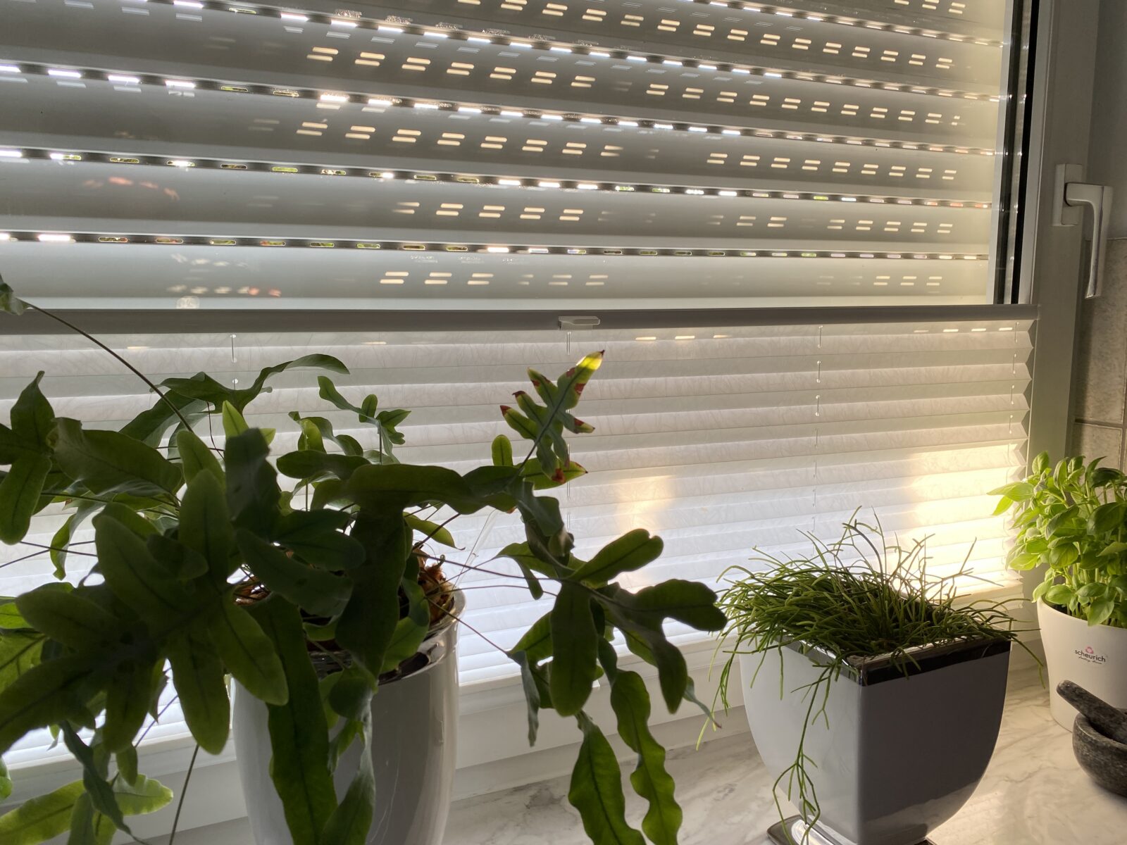 Rollladen mit Plissee